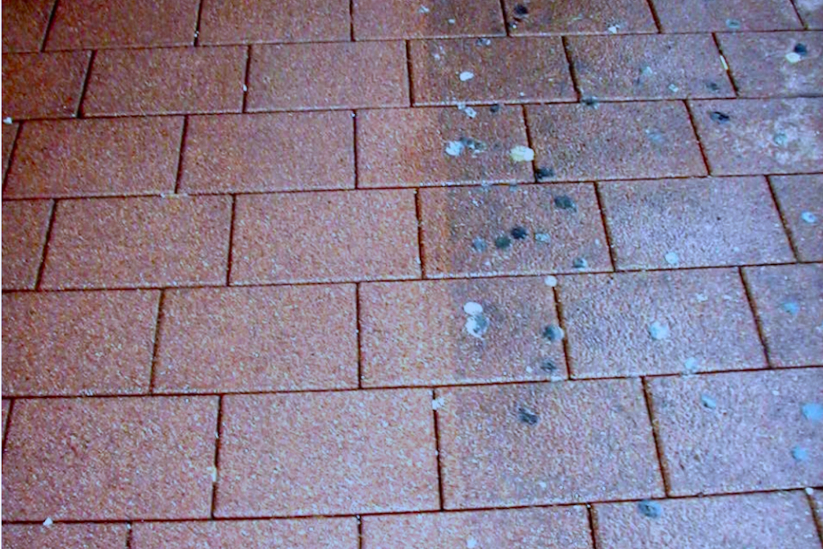 co_robimy_tlo_mycie_kostki_z_gum